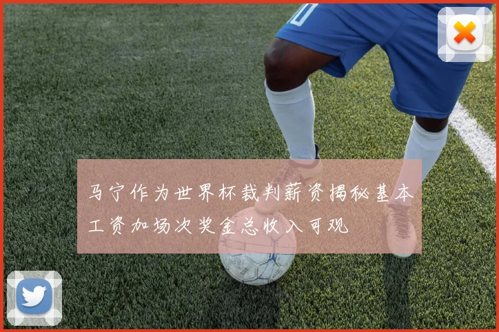 马宁作为世界杯裁判薪资揭秘基本工资加场次奖金总收入可观